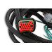 PartzBiz CM: 80002-MSD EFI And LS Harness - Pro 600 PartzBiz CM: 80002-MSD EFI And LS Harness - Pro 600