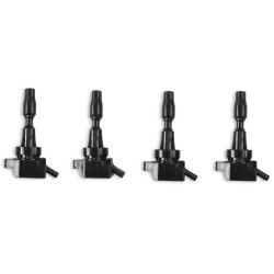 PartzBiz CM 826943 - MSD Ignition Coil - Blaster Series - Fits Hyundai and KIA 1.6L Turbo - Black - 4-Pack PartzBiz CM 826943 - MSD Ignition Coil - Blaster Series - Fits Hyundai and KIA 1.6L Turbo - Black - 4-Pack