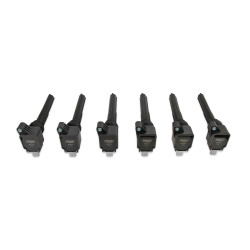 PartzBiz CM 827063 - MSD Ignition Coil - Ford EcoBoost - 3.5L V6 - Black - 6-Pack PartzBiz CM 827063 - MSD Ignition Coil - Ford EcoBoost - 3.5L V6 - Black - 6-Pack