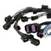 PartzBiz CM: 8734-MSD 2-Step Launch Control - Modular Ford Engines