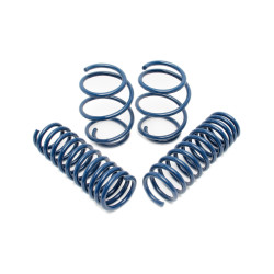PartzBiz CM D100-0479 - Dinan Performance Spring Set - 2000-2003 BMW M5