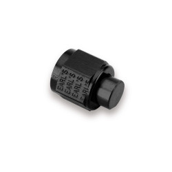 PartzBiz CM AT992910ERL - Earl's -10 AN Cap