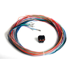 PartzBiz CM 558-402 - ชุดสายรัดเสริม Dominator EFI PartzBiz CM 558-402 - ชุดสายรัดเสริม Dominator EFI