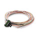 PartzBiz CM: 553-117-Holley EFI 6.86