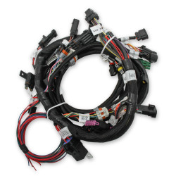 PartzBiz CM 558-110 - ชุดสายรัดหลักของเครื่องยนต์ Holley EFI Ford Coyote พร้อม Ti-VCT และคอยล์สต็อก (2011-2017)
