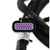 PartzBiz CM: 558-221-Holley EFI GM GEN V GDI Subharness PartzBiz CM: 558-221-Holley EFI GM GEN V GDI Subharness