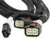 PartzBiz CM: 558-221-Holley EFI GM GEN V GDI Subharness PartzBiz CM: 558-221-Holley EFI GM GEN V GDI Subharness