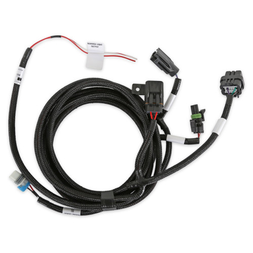 PartzBiz CM: 558-480-Holley EFI Transmission Harness - T-56 Magnum