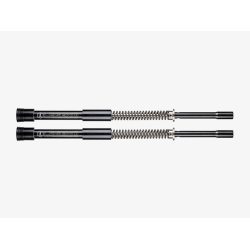 PartzBiz HD 0414-0546 - Legend AXEO High-Performance Front Suspension Fork Tube Kit Harley 18-21 Softail