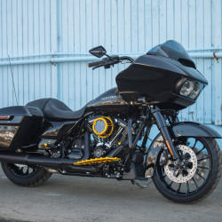 PartzBiz HD 07-939 - ยางพักเท้า Arlen Ness Male Gold Knurled Pair Driver Passenger Harley PartzBiz HD 07-939 - ยางพักเท้า Arlen Ness Male Gold Knurled Pair Driver Passenger Harley