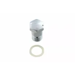 PartzBiz HD 7401-2 - Chrome Tach Tachometer Drive Block Off Plug and Gasket Harley Ironhead Sportster