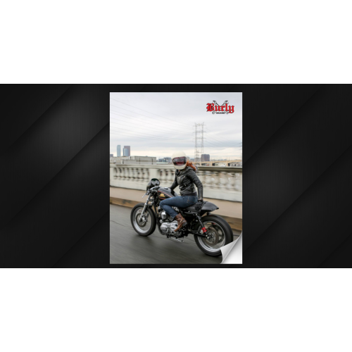 PartzBiz HD: 3444550-Burly Black Short Sissy Bar Backrest Harley Sportster XL 2004-2020 883 1200 PartzBiz HD: 3444550-Burly Black Short Sissy Bar Backrest Harley Sportster XL 2004-2020 883 1200