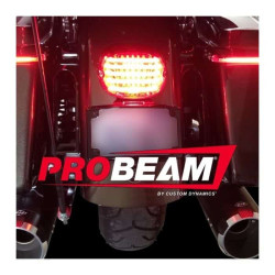 PartzBiz HD CD-TL-NW-R - Custom Dynamics Low Profile LED Taillight Red Lens w/o Plate Window Harley 99-20