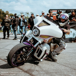 PartzBiz HD MEP8631 - New Memphis Shades 8.5” Smoke Tinted Windshield 2014-2021 Harley Batwing Touring PartzBiz HD MEP8631 - New Memphis Shades 8.5” Smoke Tinted Windshield 2014-2021 Harley Batwing Touring