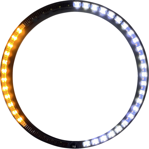 PartzBiz HD: -Custom Dynamics ProBeam Sequential Turn Signal Black Ring Trim Harley FL 96-05 PB-7TR-SEQ-3B electra road street glide king best for buy davidson flh flt amber light indicator built in plug n play 2001-2307 2001-2308 2001-2309 2001-2310 2001-2311 2001-231 PartzBiz HD: -Custom Dynamics ProBeam Sequential Turn Signal Black Ring Trim Harley FL 96-05 PB-7TR-SEQ-3B electra road street glide king best for buy davidson flh flt amber light indicator built in plug n play 2001-2307 2001-2308 2001-2309 2001-2310 2001-2311 2001-231