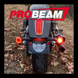 PartzBiz HD PB-SCOUT-RR-CR - Custom Dynamics ProBEAM Rear Red Ring Bullet Turn Signal LEDs Chrome Scout 15-20 2020-1915 20201915 PB-SCOUT-RR-CR Harley light replacement upgrade touring softail PartzBiz HD PB-SCOUT-RR-CR - Custom Dynamics ProBEAM Rear Red Ring Bullet Turn Signal LEDs Chrome Scout 15-20 2020-1915 20201915 PB-SCOUT-RR-CR Harley light replacement upgrade touring softail