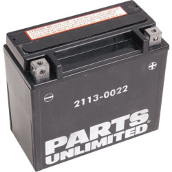 PartzBiz HD DS21130022 - AGM Maintenance-Free Battery 310cca YTX20HL-BS Harley Dyna 99-17 Softail 00-20 PartzBiz HD DS21130022 - AGM Maintenance-Free Battery 310cca YTX20HL-BS Harley Dyna 99-17 Softail 00-20