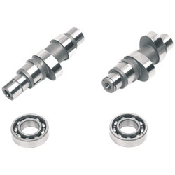 PartzBiz HD DS09250168 - Andrews 21G Series Grind Gear Drive Cam สำหรับ Harley Twin Cam 07-15 .498 ” Lift | 216321G PartzBiz HD DS09250168 - Andrews 21G Series Grind Gear Drive Cam สำหรับ Harley Twin Cam 07-15 .498 ” Lift | 216321G