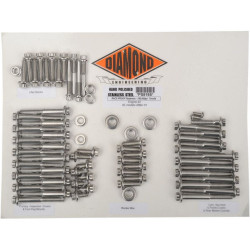 PartzBiz HD DS24010846 - Diamond Engineering 12 Point Polished Stainless Steel Engine Bolt Kit XL 04-15 | PS819S PartzBiz HD DS24010846 - Diamond Engineering 12 Point Polished Stainless Steel Engine Bolt Kit XL 04-15 | PS819S
