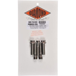 PartzBiz HD DS24010224 - ชุดน็อตเครื่องยนต์สแตนเลสขัดเงา Diamond Engineering 12 จุด XL 04-15 | PS819S PartzBiz HD DS24010224 - ชุดน็อตเครื่องยนต์สแตนเลสขัดเงา Diamond Engineering 12 จุด XL 04-15 | PS819S