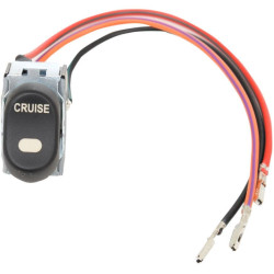 PartzBiz HD DS21060234 - Inner Fairing Cap Cruise Control Rocker Switch Harley Replacement 71513-98 98-13 | 2106-0234 PartzBiz HD DS21060234 - Inner Fairing Cap Cruise Control Rocker Switch Harley Replacement 71513-98 98-13 | 2106-0234
