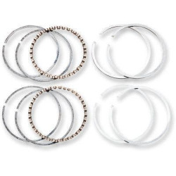 PartzBiz HD DS09120468 - Hastings Piston 2M4805005 Replacement Rings Harley Twin Cam 07-13 PartzBiz HD DS09120468 - Hastings Piston 2M4805005 Replacement Rings Harley Twin Cam 07-13