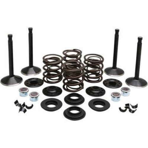PartzBiz HD: 4413709-EPC ราคาสุดคุ้ม จัดส่งฟรี. Kibblewhite 20-22550 ชุดวาล์วสแตนเลสไดมอนด์สีดำหัวพลั่ว 80 78-83 PartzBiz HD: 4413709-EPC ราคาสุดคุ้ม จัดส่งฟรี. Kibblewhite 20-22550 ชุดวาล์วสแตนเลสไดมอนด์สีดำหัวพลั่ว 80 78-83