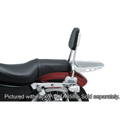 PartzBiz HD KA6582 - Kuryakyn 6582 Chrome Sissy Bar Backrest Harley Davidson Sportster XL 04-20 PartzBiz HD KA6582 - Kuryakyn 6582 Chrome Sissy Bar Backrest Harley Davidson Sportster XL 04-20