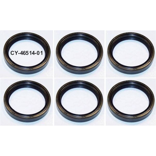 PartzBiz HD: 4408211-ใหม่ 6 แพ็ค 49 มม.ด้านหน้าส้อมซีล Harley Touring 84-up Repl OE #46514-01 PartzBiz HD: 4408211-ใหม่ 6 แพ็ค 49 มม.ด้านหน้าส้อมซีล Harley Touring 84-up Repl OE #46514-01