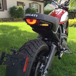 PartzBiz HD TR578858 - New Rage Cycles Rear Fender Eliminator w/ LED Signals 15-16 Ducati Scrambler 800 indicator marker license plate relocation tucked replacement upgrade best new motorcycle desert sled PartzBiz HD TR578858 - New Rage Cycles Rear Fender Eliminator w/ LED Signals 15-16 Ducati Scrambler 800 indicator marker license plate relocation tucked replacement upgrade best new motorcycle desert sled