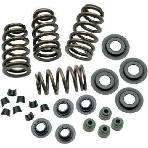 PartzBiz HD: 4404390-S&S 106-5909 Sidewinder .650 ” ชุดสปริงวาล์ว Twin Cam 05-18 Sportster 04-20 PartzBiz HD: 4404390-S&S 106-5909 Sidewinder .650 ” ชุดสปริงวาล์ว Twin Cam 05-18 Sportster 04-20