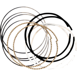 PartzBiz HD SS940-0060 - S&S Cycle 134476SR Piston Ring Set 4.250" Big Bore PartzBiz HD SS940-0060 - S&S Cycle 134476SR Piston Ring Set 4.250" Big Bore