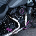 PartzBiz HD: 19093469-Brake Arm with Pedal for '18-Later Harley Softail Standard, Low Rider S, Street Bob, and FX Dyna Models with mid-Controls - Blue