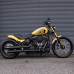 PartzBiz HD: WHL-21F-BB-BLK-21x3.25