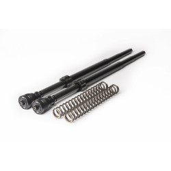 PartzBiz HD 006-25125-9011 - Maximize Your Bagger's Performance | GP Suspension Cartridge Kit