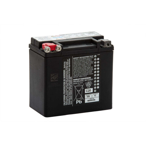 PartzBiz HD: 5000074-Genuine Battery 66000206A 12Ah Agm For Vrsc Buell Xb Blast Models