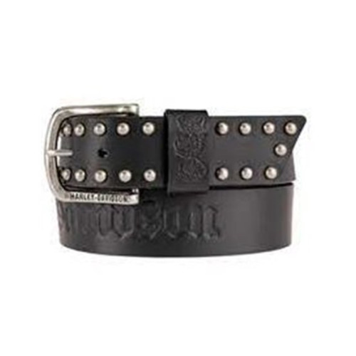 PartzBiz HD: 5900764-Harley-Davidson Belt 