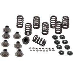 PartzBiz HD 900-0958 - S&S Cycle Sidewinder .605” Lift Valve Spring Kit Harley Touring Softail 17-20 M8 PartzBiz HD 900-0958 - S&S Cycle Sidewinder .605” Lift Valve Spring Kit Harley Touring Softail 17-20 M8